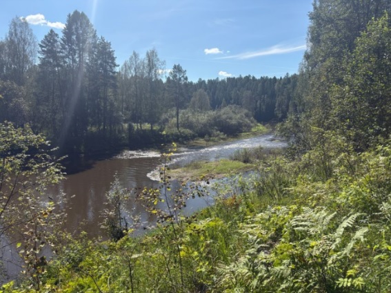 парк оленьи ручьи фото