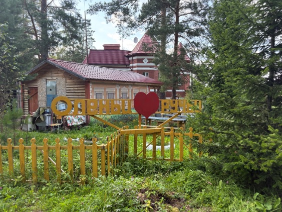 поездка на парк оленьи ручьи